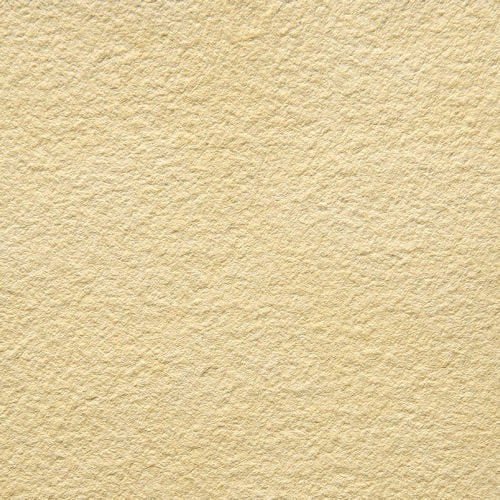 50956_16665