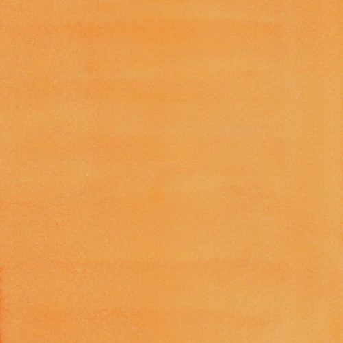 99596_37516