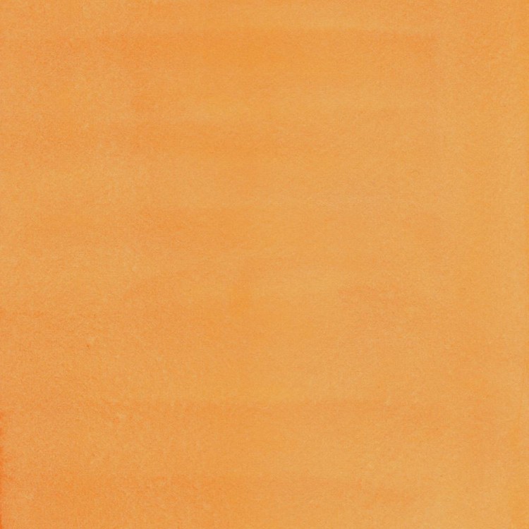 99596_37516
