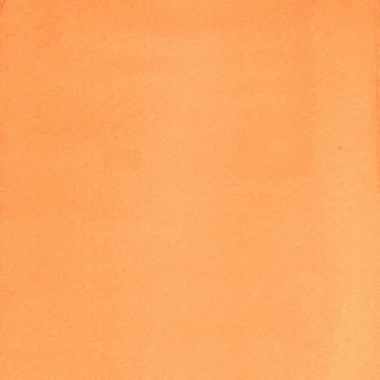 99597_37517