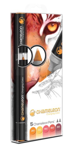 99955_42249