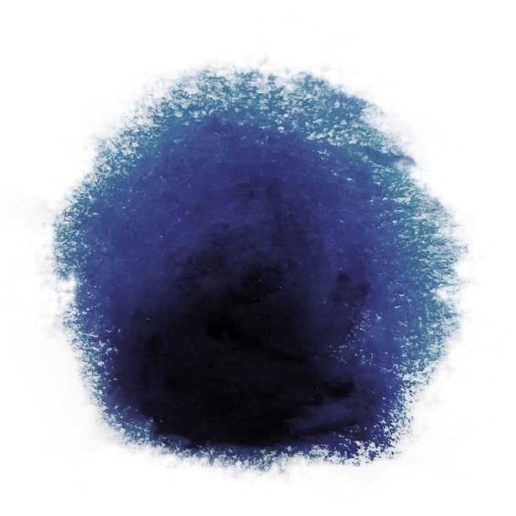 74979_42881