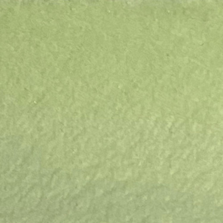 101902_43981