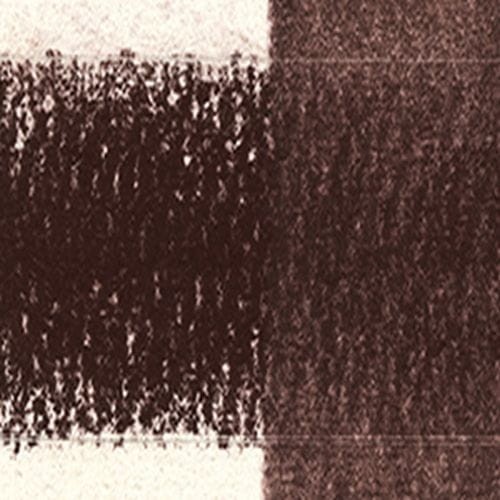 49856_44365