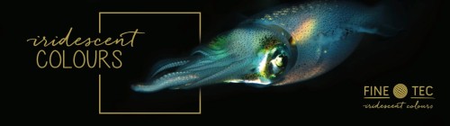 105803_48509