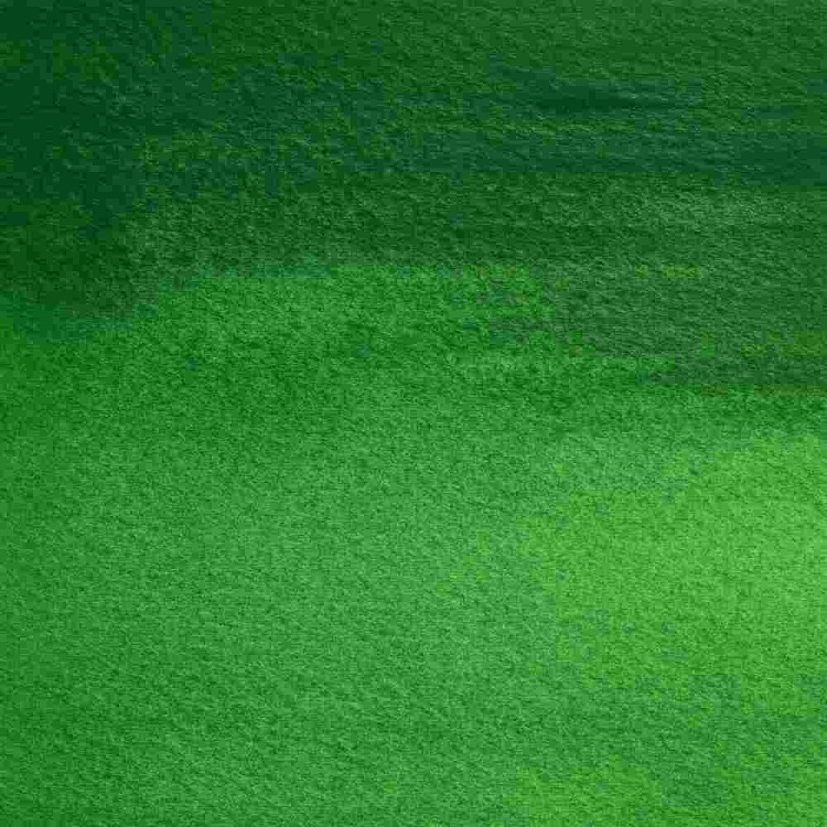 106456_49328