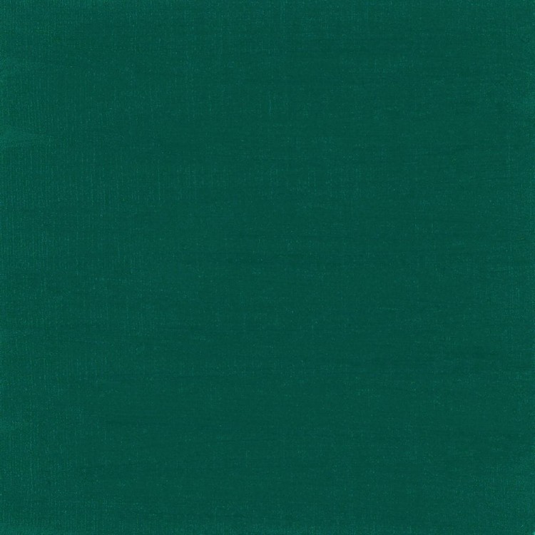 107078_50351