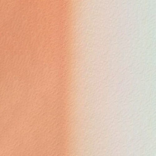 107118_50511
