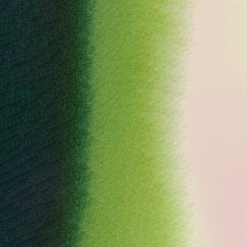 107132_50524