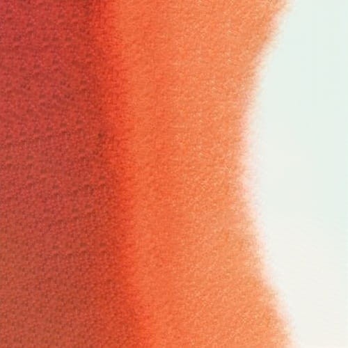 107158_50550