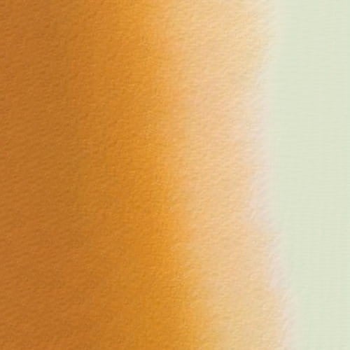107164_50556