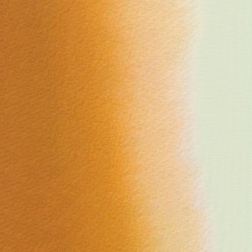 107164_50556