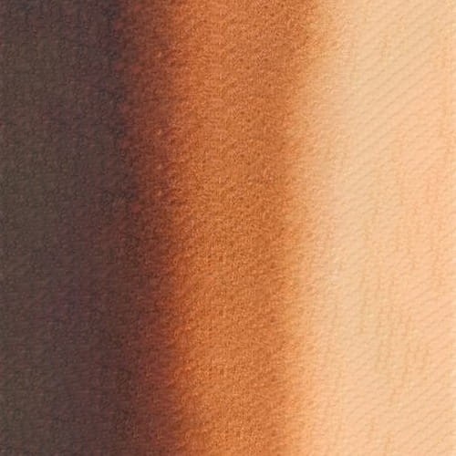 107166_50558