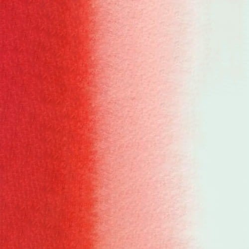 107169_50561