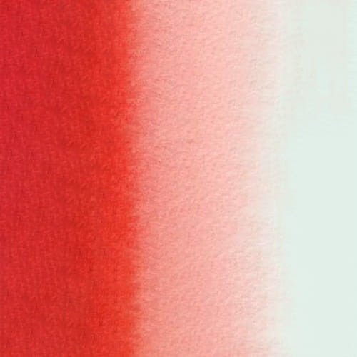 107169_50561