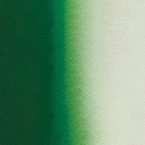 107182_50574