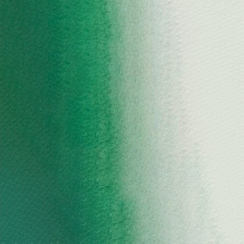 107202_50594