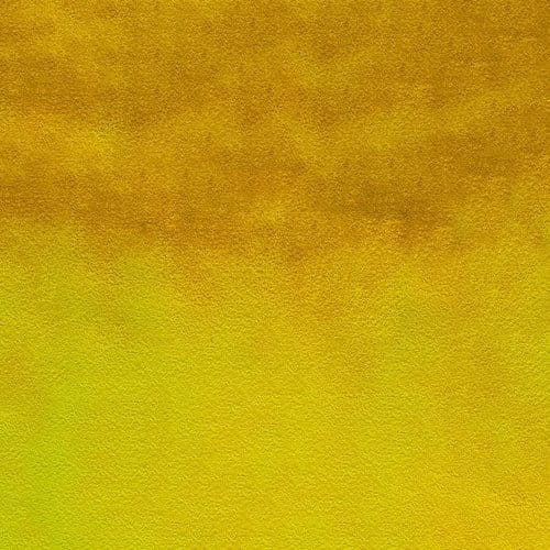 107230_50631