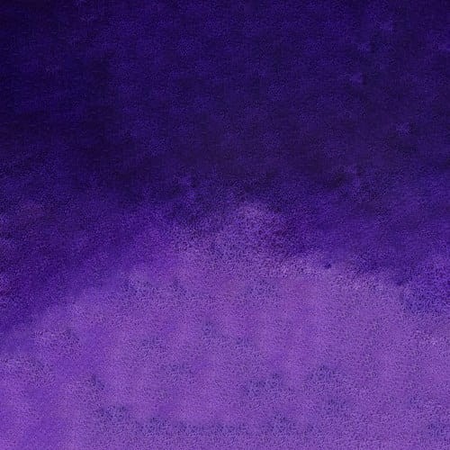 107237_50638