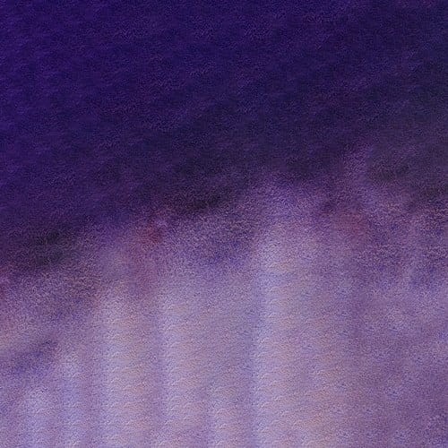 107238_50639
