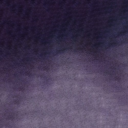 107239_50640