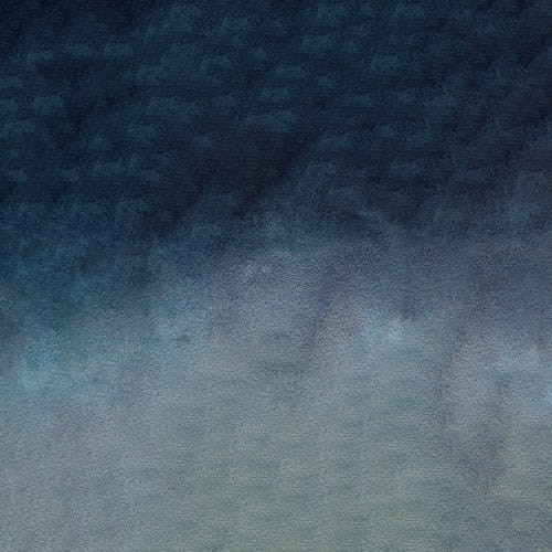 107248_50649