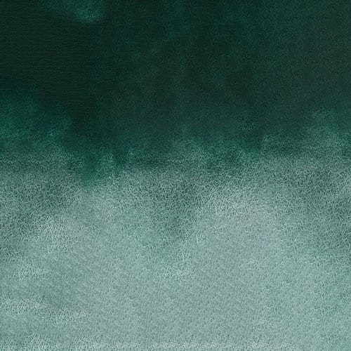 107254_50655
