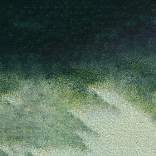 107256_50657