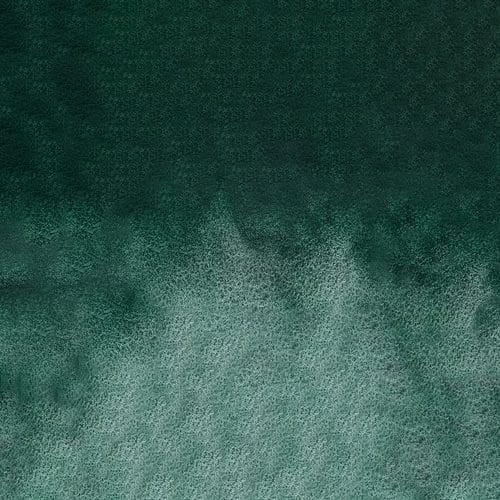 107257_50658