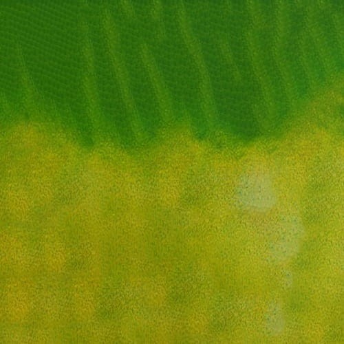 107260_50661