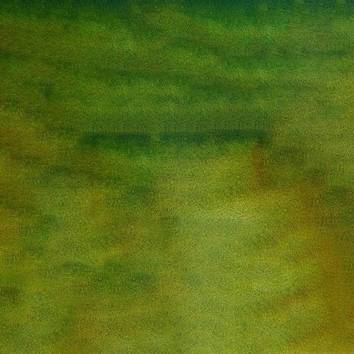 107265_50666