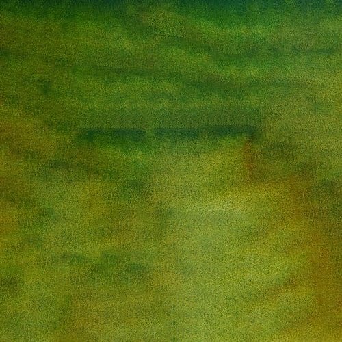107265_50666