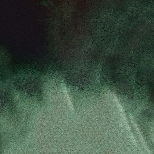107267_50668