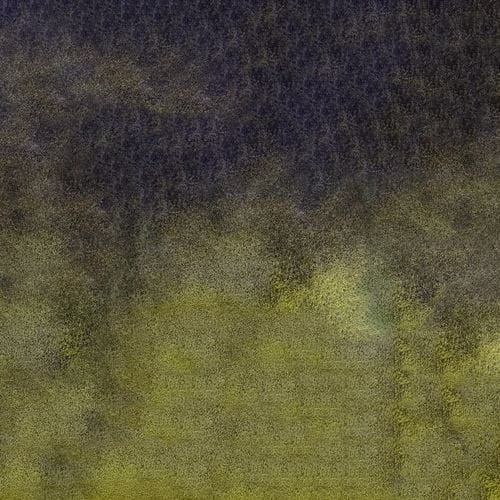 107268_50669
