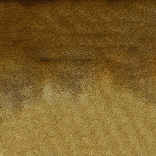 107269_50670