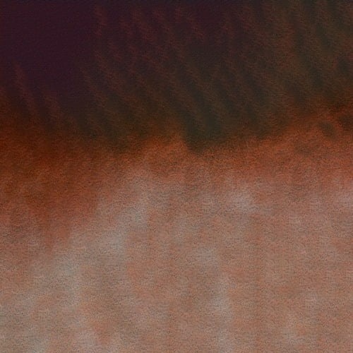 107272_50673