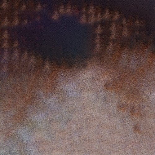 107275_50676