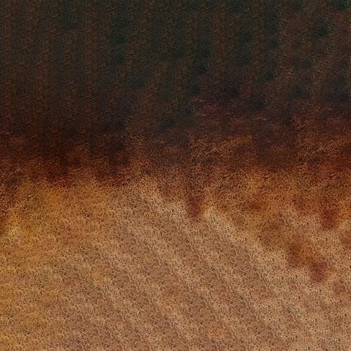 107277_50678