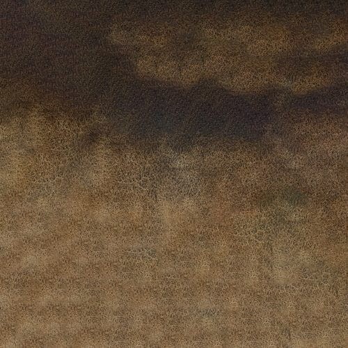 107278_50679