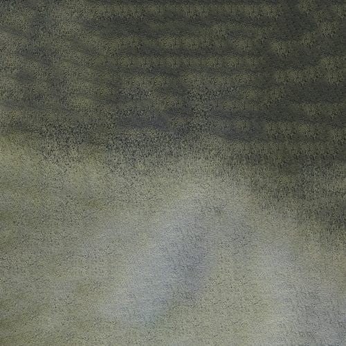 107282_50683