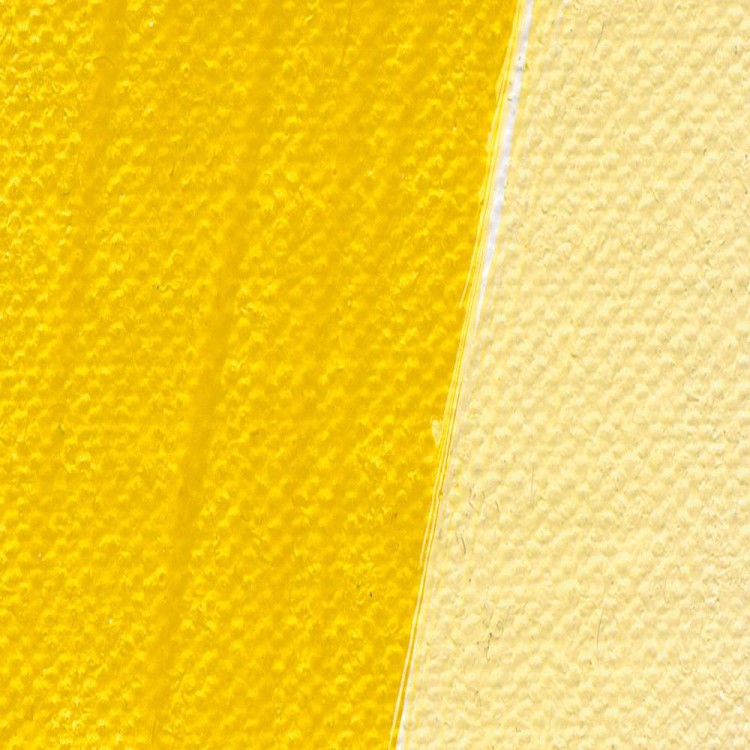 68013_51668