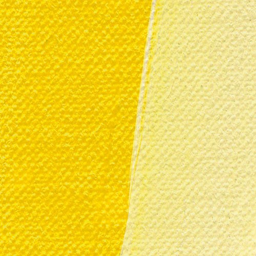 68017_51669