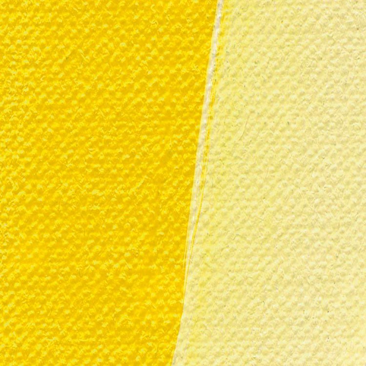 68017_51669
