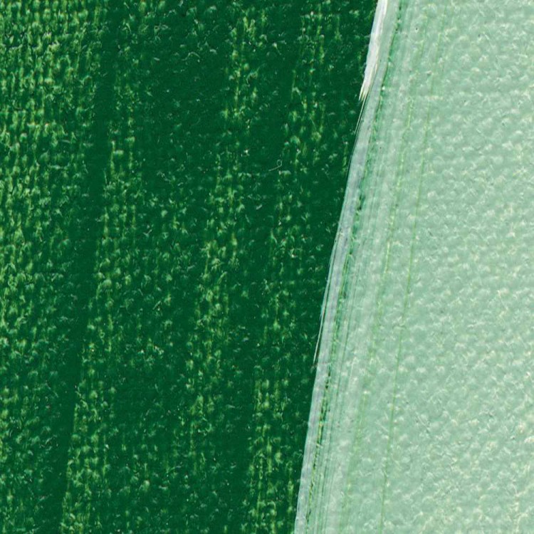 68114_51695