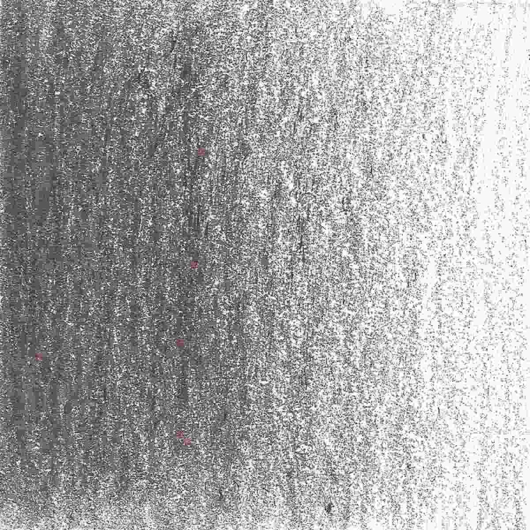 108403_52020