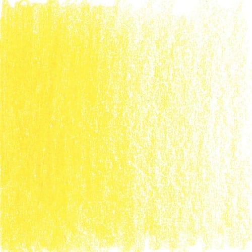 sunflower.jpg