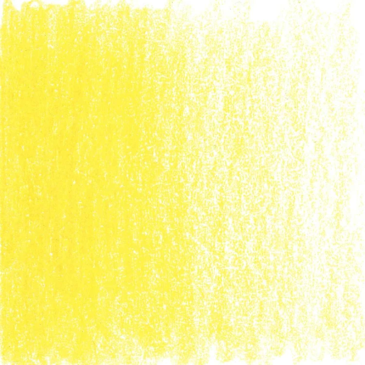 sunflower.jpg