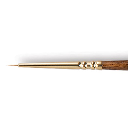 55554_49401