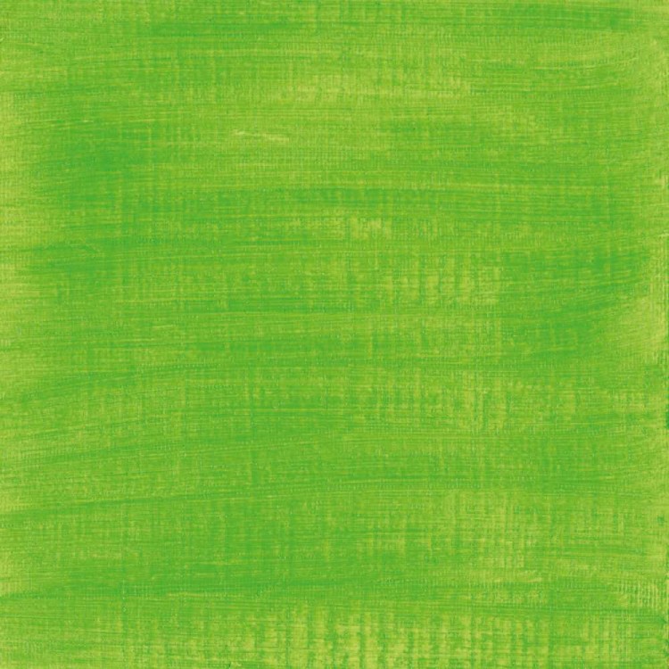 107081_53313