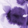 108923_53325